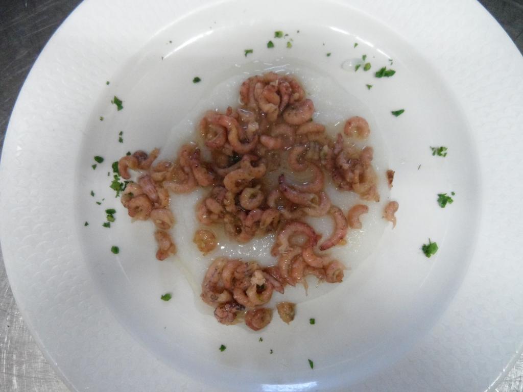 Locanda Gallo Dolo Dış mekan fotoğraf